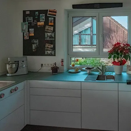 Luxurioeses Haus Mit Pool, Nahe Schweizer Grenze Weil am Rhein